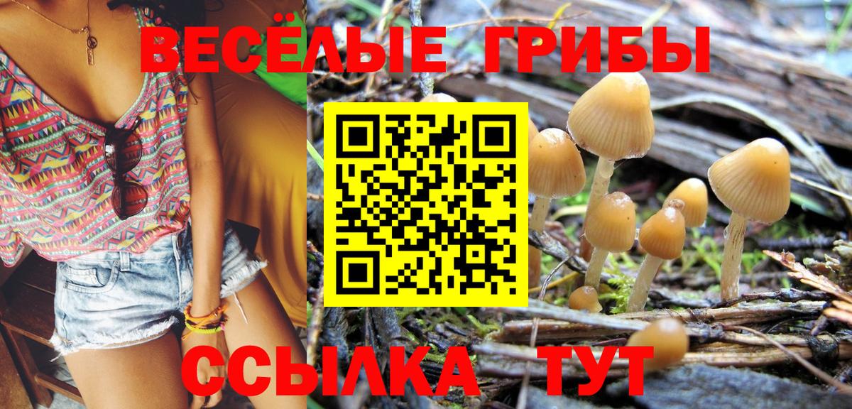 Татарск  Галлюциногенные грибы прущие грибы  Галлюциногенные грибы Cubensis  Вход с VPN 