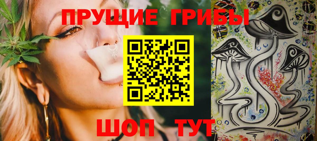 Псилоцибиновые грибы Psilocybe Татарск